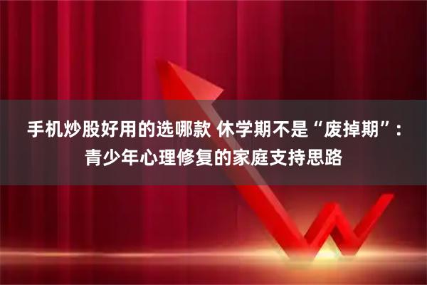 手机炒股好用的选哪款 休学期不是“废掉期”：青少年心理修复的家庭支持思路