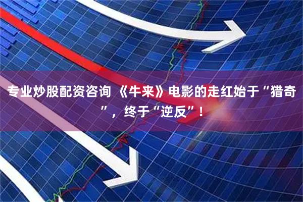 专业炒股配资咨询 《牛来》电影的走红始于“猎奇”，终于“逆反”！